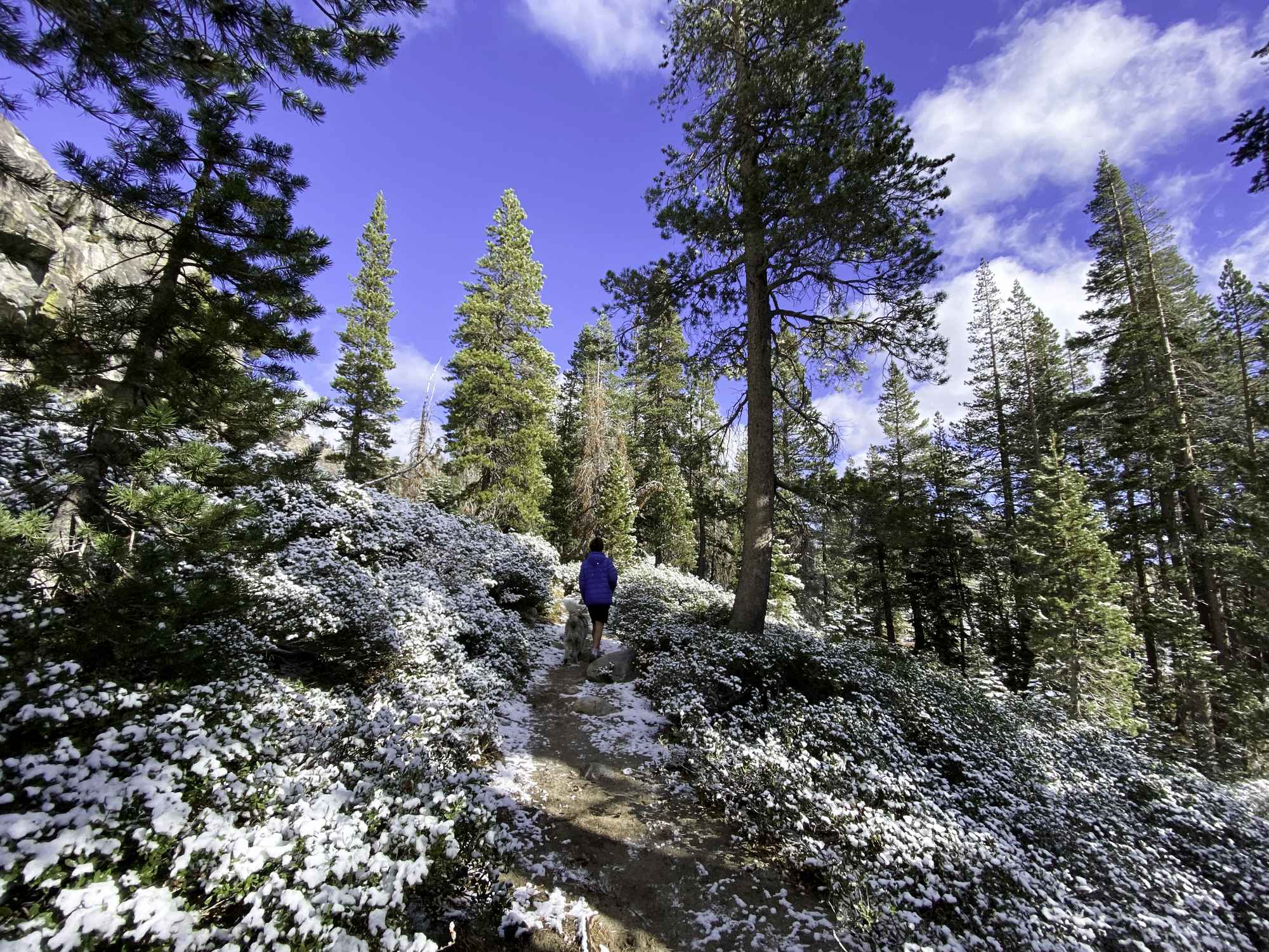 Hiking after the first snow of the season.